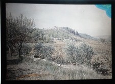 AUTOCHROME - Paysage panoramique - vers 1915 