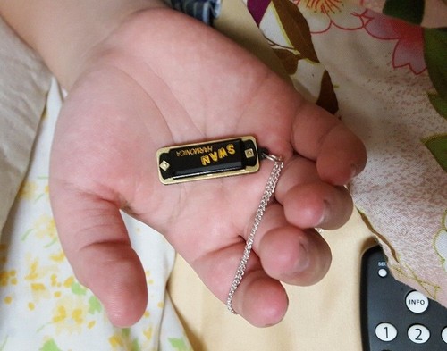 Supersopranino harmonica - supersopranino,