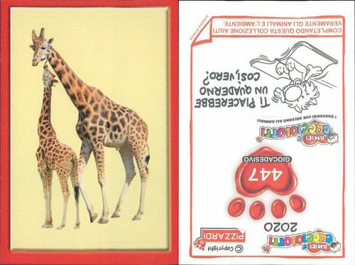 Autocollant original pizzardi - autocollant,