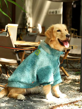 Veste Manteau Pour Chien