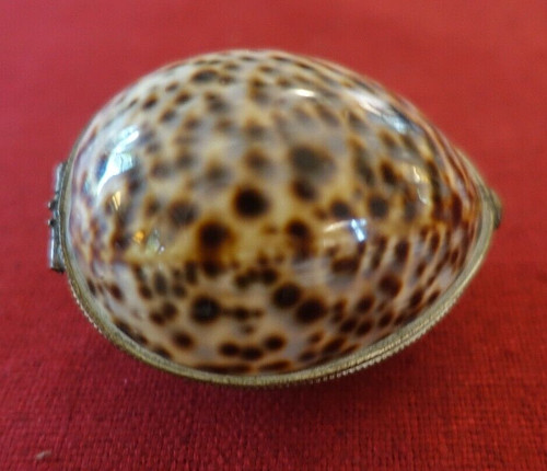 Boite chapelet coquillage - boite,