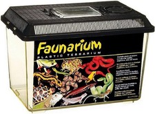Terrarium Reptile Amphibien