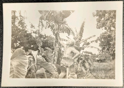 Vintage 1940 photograph - 1940's,