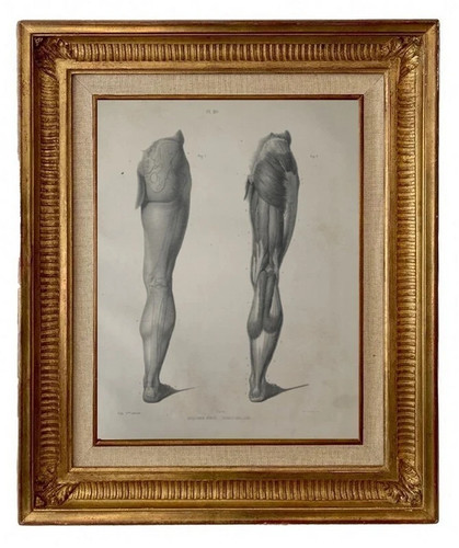 Gravure lithographie xix - gravure,