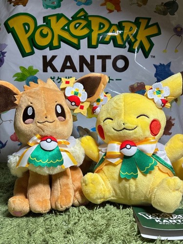 Peluche pokepark kanto - peluche,