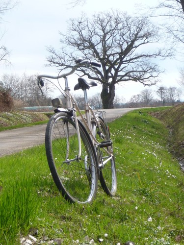 Vélo peugeot 1980 très - vélo,