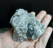 Larme d'apache sur gangue (