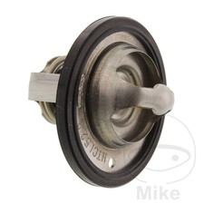 SIN MARCA Thermostat de