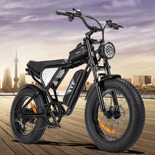 YVY C20 LITE 48V 15Ah 20" X