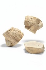 FRIANDISE POUR CHIEN Racine de