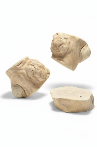Friandise pour chien racine - friandise,