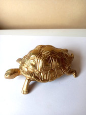 Très belle tortue ancienne
