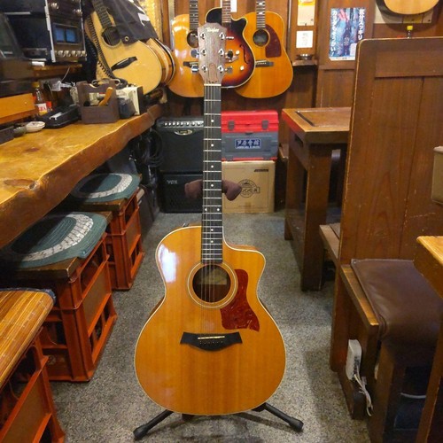 Guitare électrique acoustique