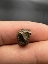 Nice Triceratops Tooth Dinosaur Dinosaure Dent Fossile Fossile Fossili Dino