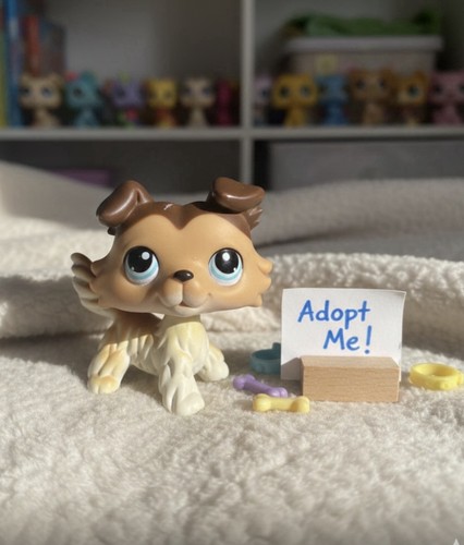 Littlest petshop lps pet shop - petshop,