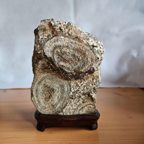 Suiseki bonseki bonsaï jardin - suiseki,