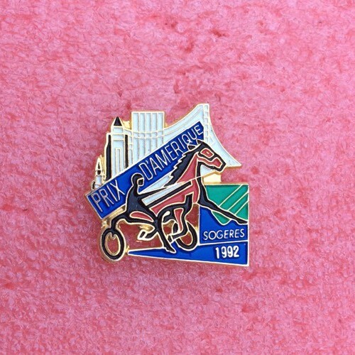 T07 pins cheval - cheval, prix
