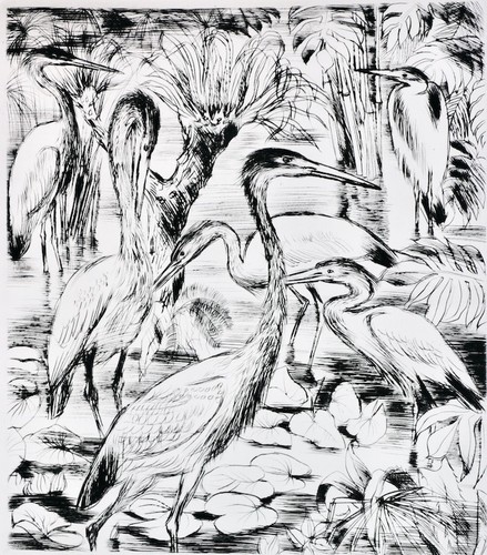 Jules michelet oiseau - jules, l’oiseau