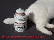 MOUTARDE ¤ PORCELAINE D'AUTEUIL ¤ LIGNE BISTROT ¤ APPROUVE PAR GALIPETTE ¤