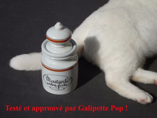 Moutarde porcelaine - ¤,