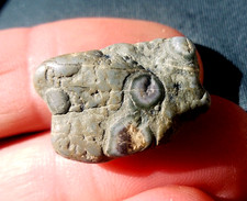 variolite 25 mm Lapis variolarum lithothérapie roche volcanique brute naturelle