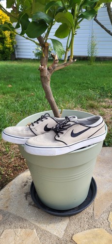 Ike stefan janoski cuir - stefan,