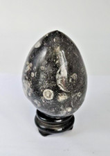 OEUF PIERRE FOSSILES ORTHOCERAS HAUTEUR 7.20 CM