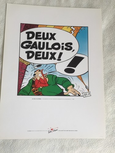 Sérigraphie astérix fils - sérigraphie, le