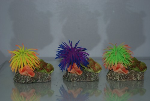 Corail aquarium rock - corail,
