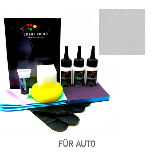 Tous les cuirs voiture gris - cuirs,