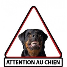 Rottweiler attention au chien