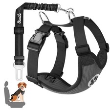 Ensemble de Harnais et Laisse