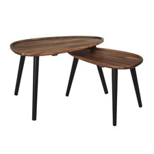 Lot de 2 Tables Basses