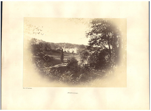 Collodion mamhead near - collodion,, mamhead,