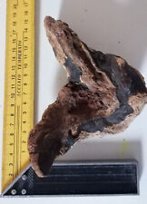 a saisir bois flotté forme originale