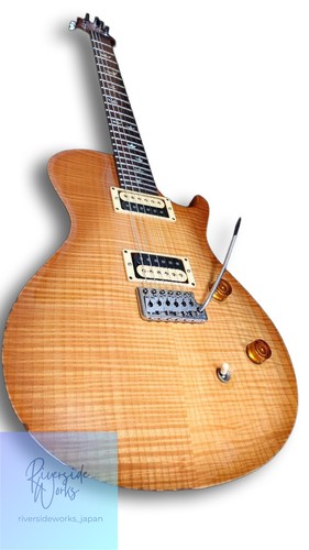 Prs 20th anniv singlecut - prs, trem