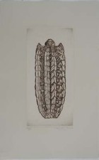 Cécile REIMS : Papillon, Gravure originale signée