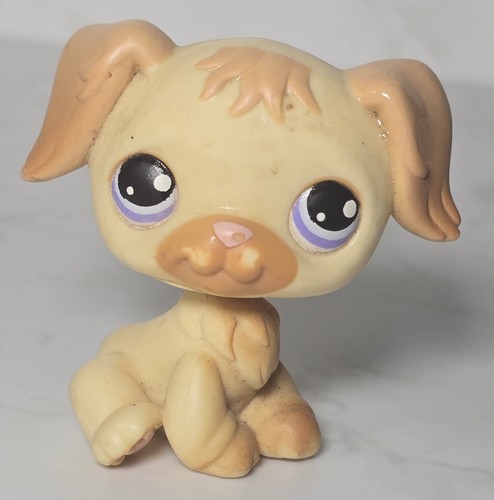Littlest petshop lps - petshop,