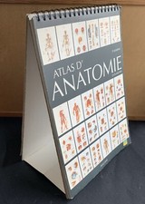 Grand Atlas D'anatomie Humaine - P. Kamina - 24 Planches -