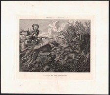 1800 gravure originale Chasse