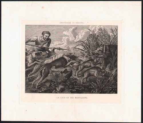 1800 gravure originale chasse - 1800,