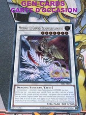 CARTE Yu Gi Oh MICHAEL LE