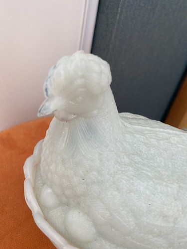 Grosse poule opaline foire - poule,