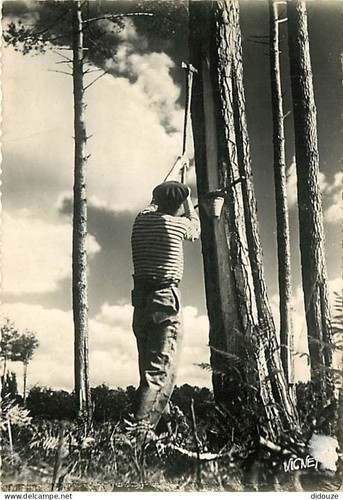 Carte postale landes - -, 40