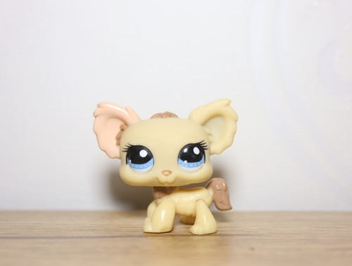 Littlest petshop chihuahua - petshop,