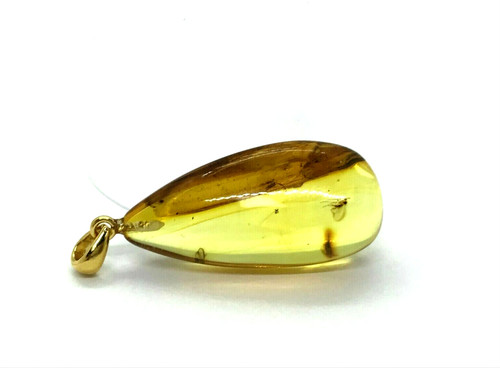 Pendentif ambre insectes - pendentif, 3
