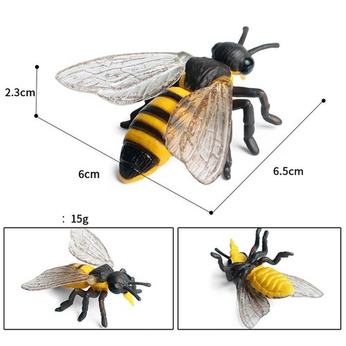 Modèles insectes animal - modèles, d'insectes