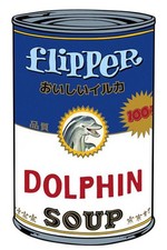 Angelo pioppo flipper - angelo,