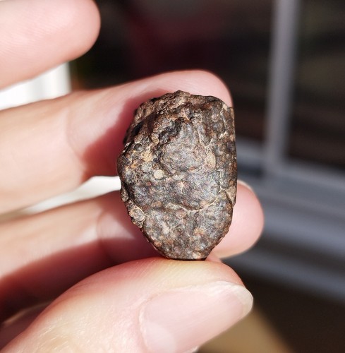 Meteorite chondrite