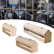 Mangeoire à pigeons